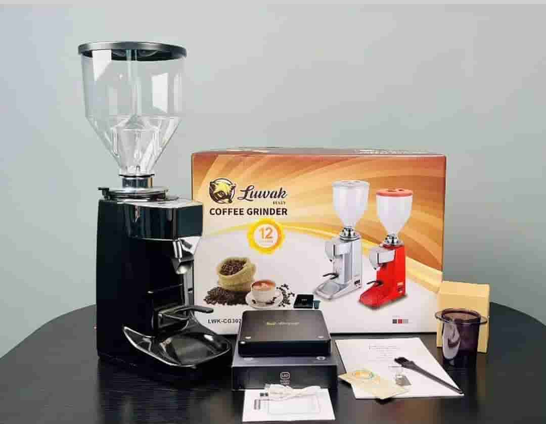 Luwak Coffee Grinder CG-3021 mr-kitchenn-1